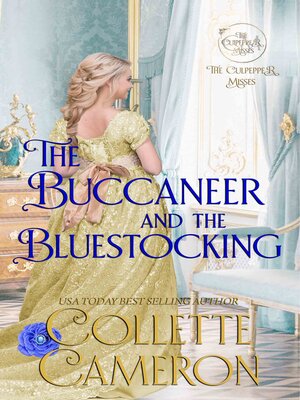 cover image of The Buccaneer and the Bluestocking